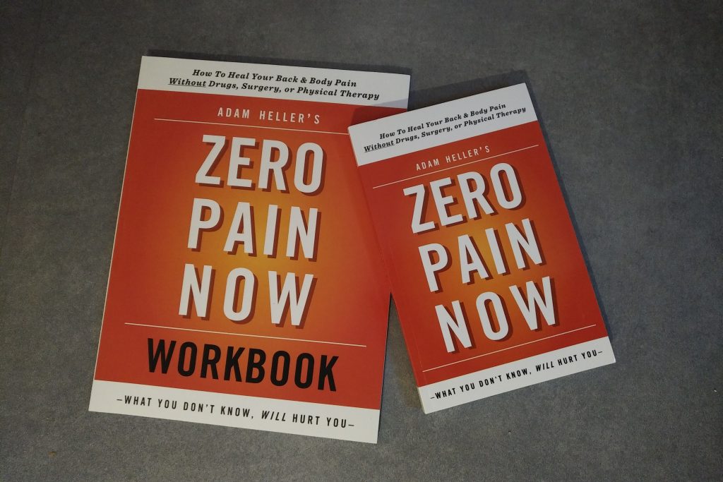 Zero Pain Now book
